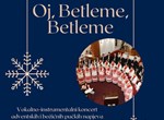 Adventsko božićni koncert SKUD-a "Ivan Goran Kovačić" u varaždinskoj katedrali